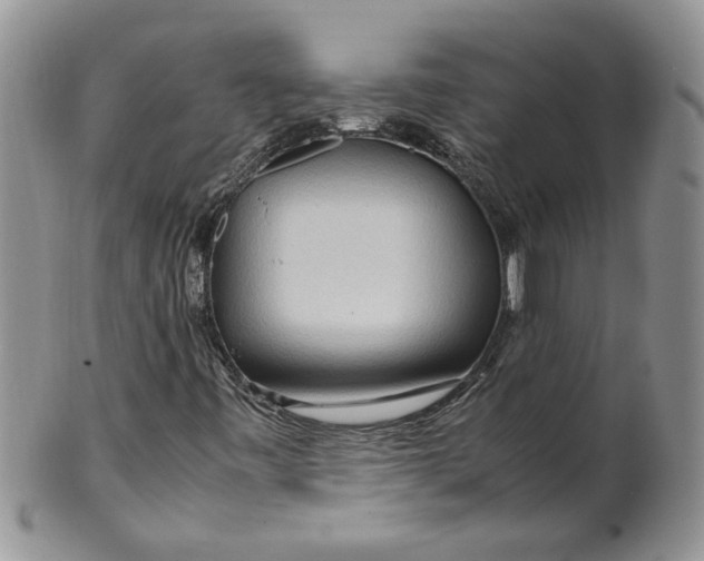 X0000099491443200806051048