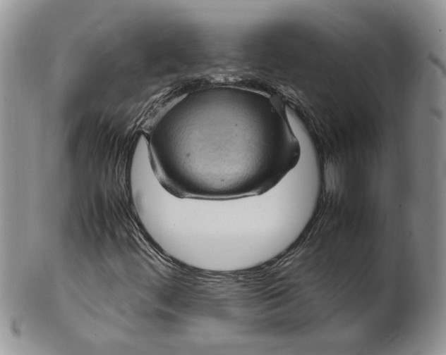 X0000099491444200806051048