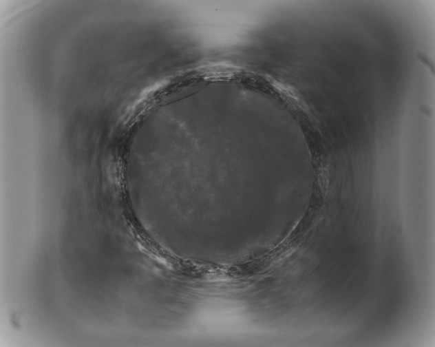 X0000099491445200806051048