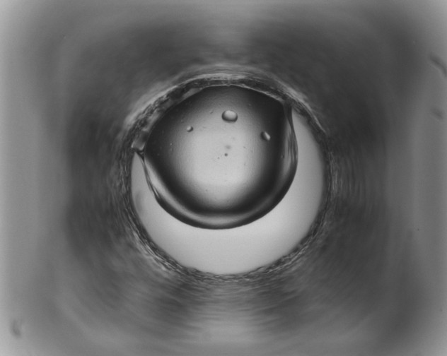 X0000099491448200806051048