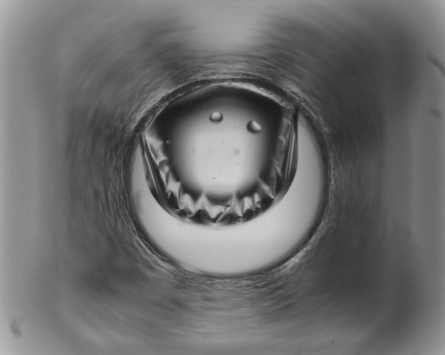 X0000099491449200806051048