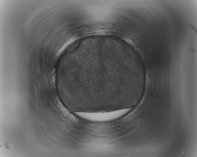 X0000099491450200806051048