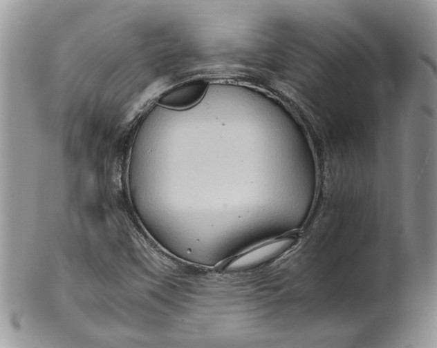 X0000099491451200806051047