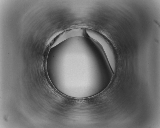 X0000099491452200806051047