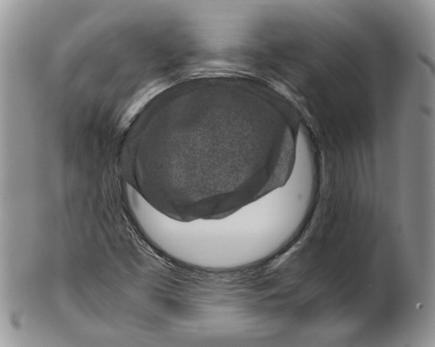 X0000099491453200806051047