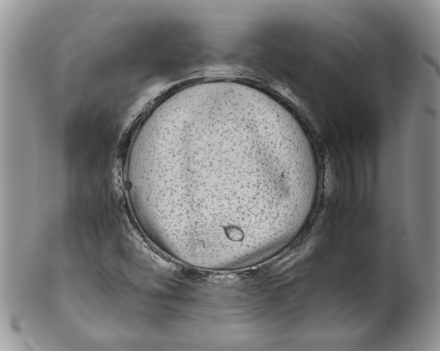 X0000099491454200806051047