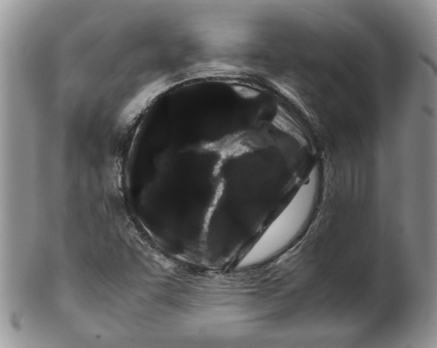 X0000099491455200806051047