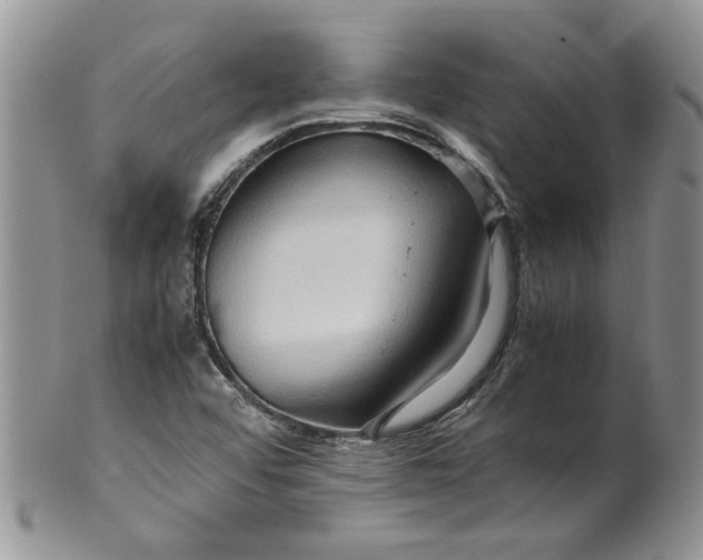 X0000099491456200806051047