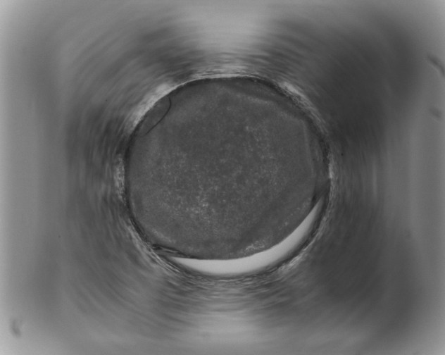 X0000099491457200806051047