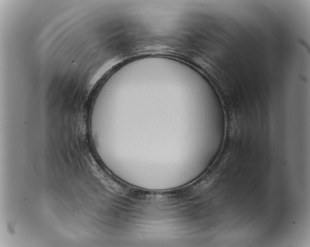 X0000099491458200806051047