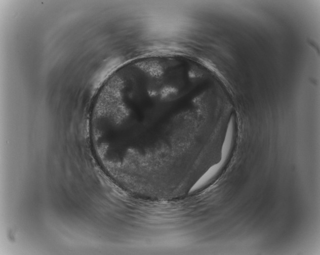 X0000099491459200806051047