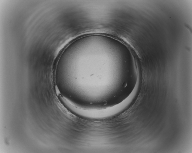 X0000099491460200806051047