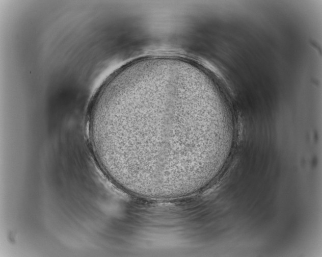 X0000099491462200806051047