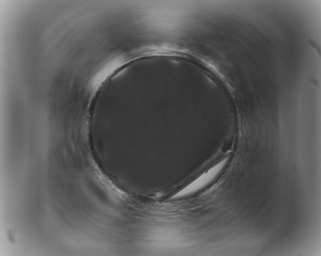 X0000099491463200806051047