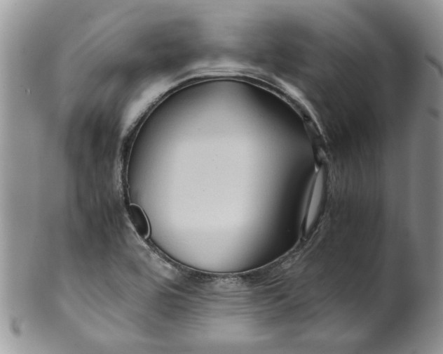 X0000099491464200806051047