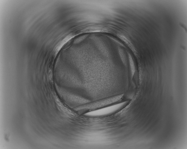 X0000099491465200806051047