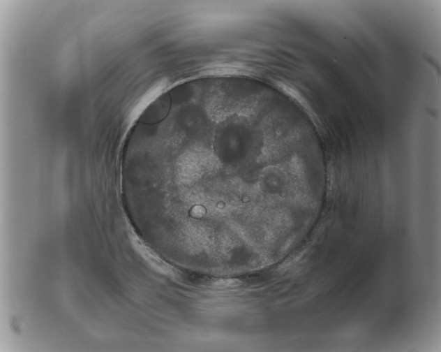 X0000099491467200806051047