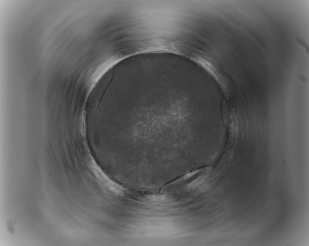 X0000099491468200806051047