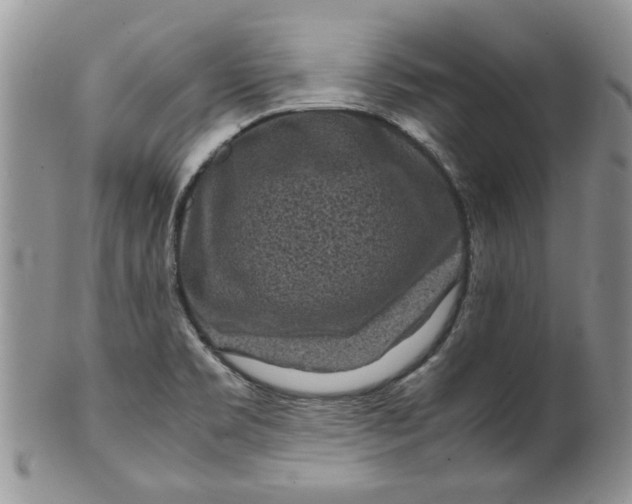 X0000099491469200806051047