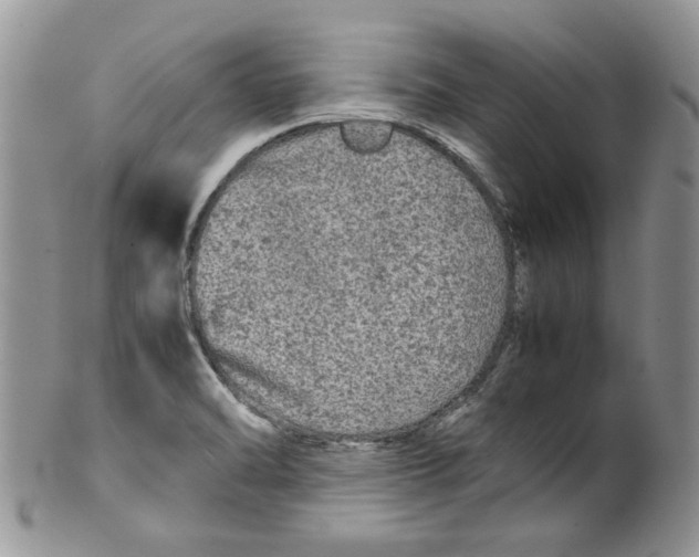 X0000099491470200806051047