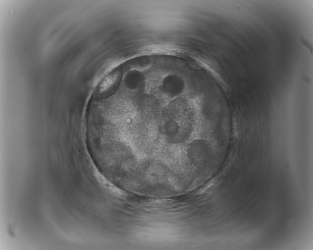 X0000099491471200806051047