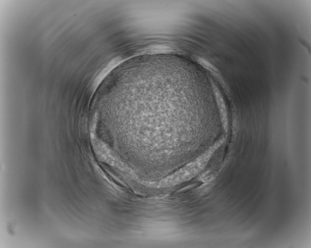 X0000099491473200806051047