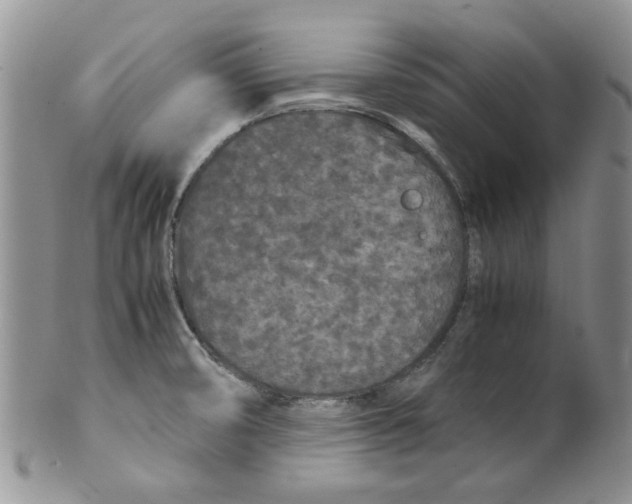 X0000099491474200806051047