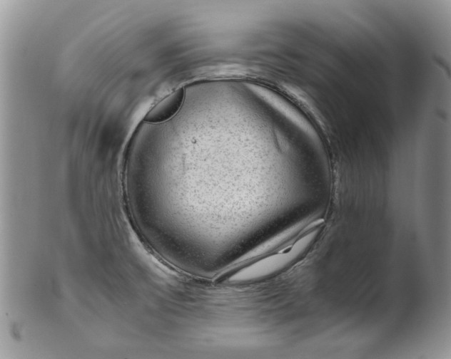 X0000099491475200806051047