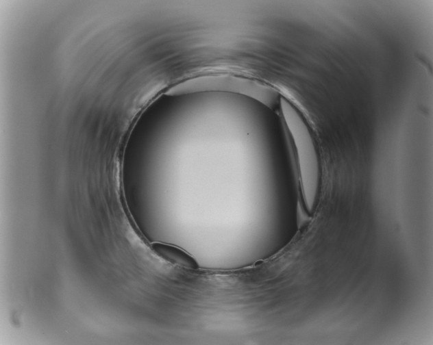 X0000099491476200806051047