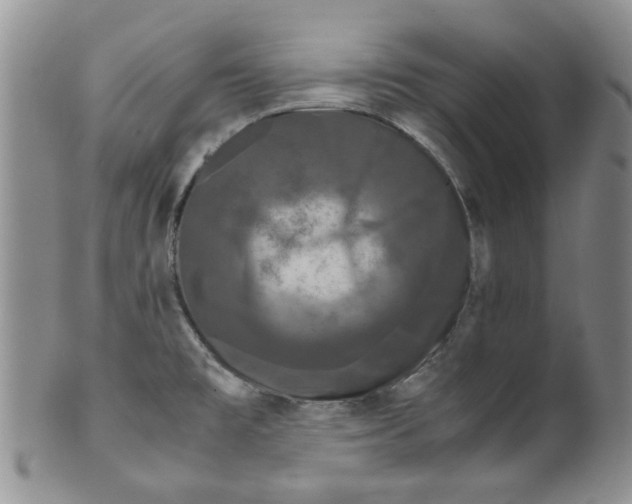 X0000099491477200806051047