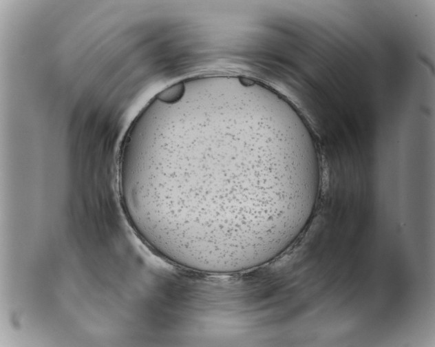 X0000099491478200806051047