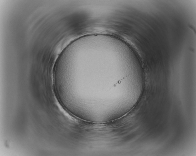 X0000099491479200806051047