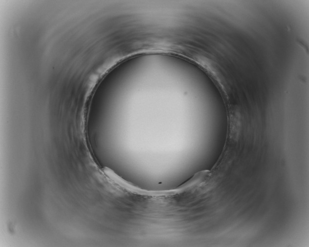 X0000099491480200806051047