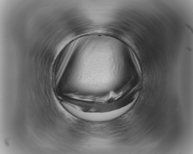 X0000099491483200806051047