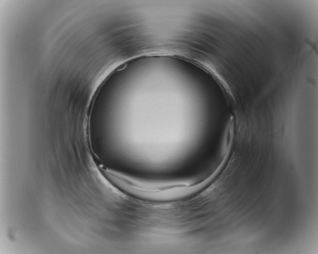 X0000099491484200806051047