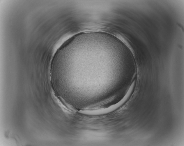 X0000099491485200806051047