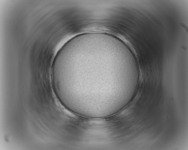 X0000099491486200806051047