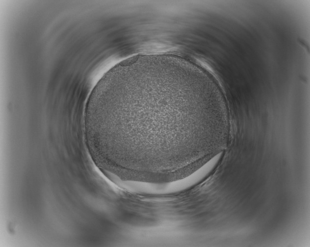 X0000099491487200806051047