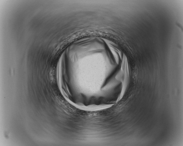 X0000099491490200806051046