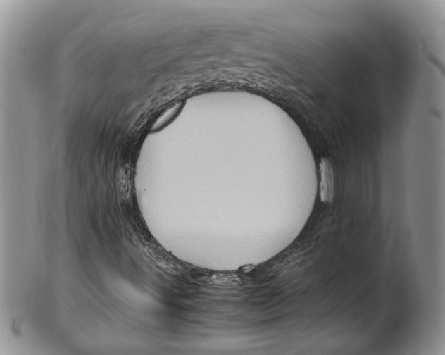 X0000099491491200806051046