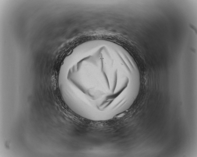 X0000099491493200806051046