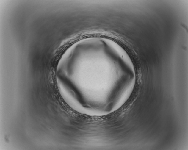 X0000099491494200806051046