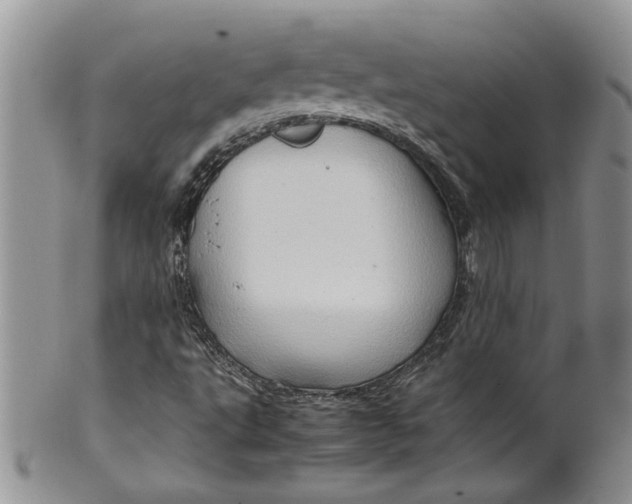 X0000099491495200806051046