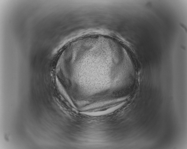 X0000099491496200806051046