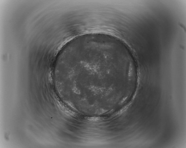 X0000099491497200806051046