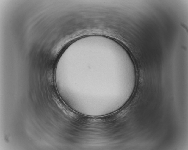 X0000099491499200806051046