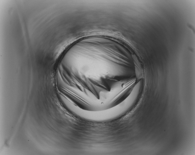 X0000099491501200806051046