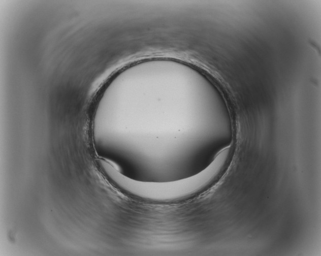 X0000099491502200806051046