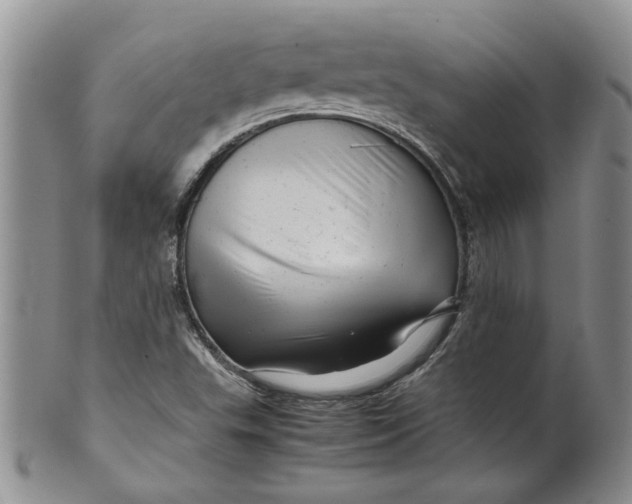 X0000099491503200806051046