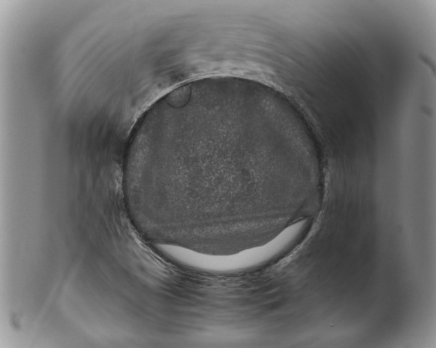 X0000099491505200806051046